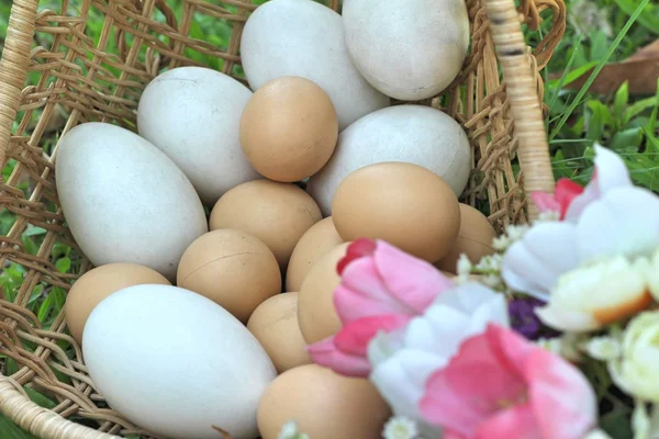 Huevos de Pascua y huevos blancos con flores artificiales —  Fotos de Stock