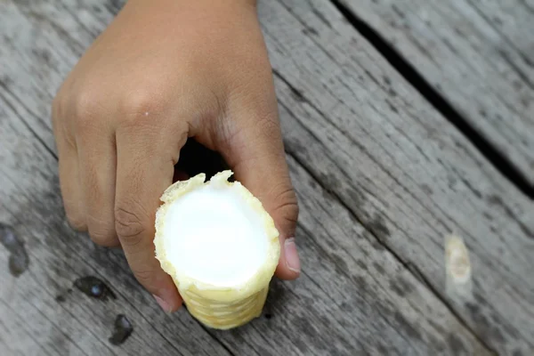 Niños comiendo helado en la mano —  Fotos de Stock