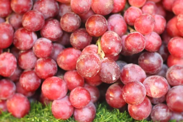 Frische Trauben — Stockfoto