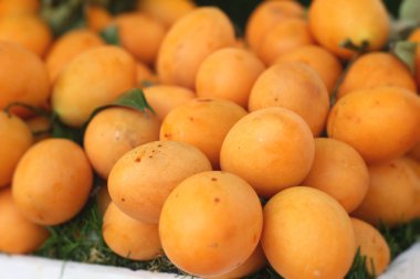 Marian Erik meyve - Asya meyve