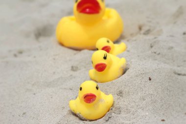 Sarı lastik ördek kum üzerinde güzel.