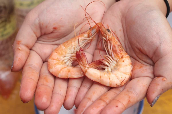 BBQ shrimp delicious on the hand — Stock Photo, Image
