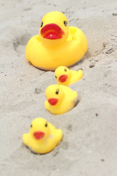 可爱的黄色橡皮鸭在沙滩上. — 图库照片