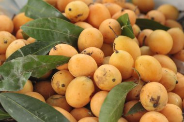 Marian Erik meyve - Asya meyve