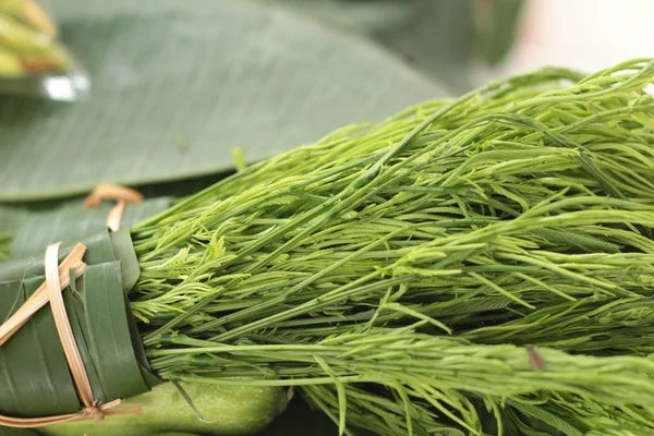 Acacia Pennata in Thai fresh market — Stock Photo, Image