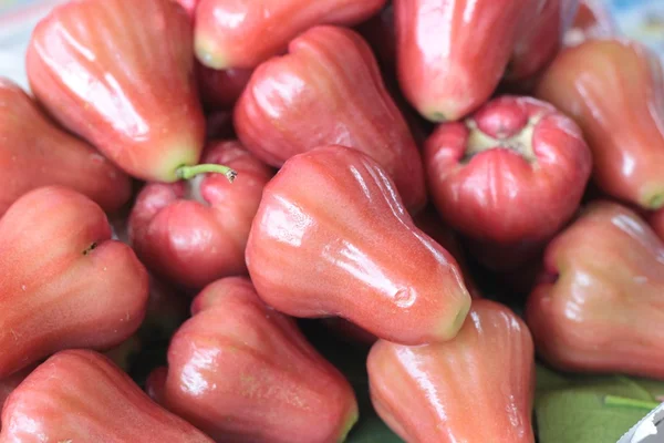 Rose apple na trhu — Stock fotografie