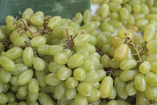 Green grapes — Stock Photo, Image