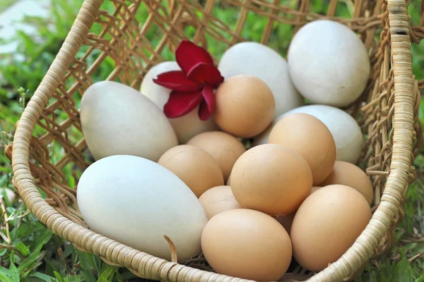 イースターの卵と白い卵ビンテージ スタイル — ストック写真