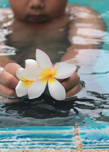 Plumeria květina v ruce chlapec u bazénu — Stock fotografie