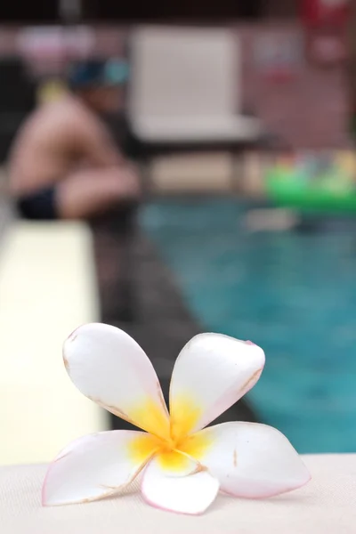 Plumeria flor e piscina azul ondulado detalhe da água — Fotografia de Stock