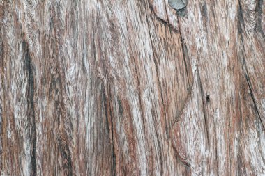 eski ahşap blackground doku - vintage