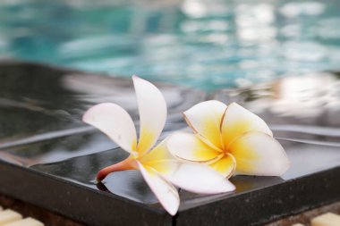 Plumeria çiçek ve mavi Yüzme Havuzu su ayrıntı et kalınlığı ile yivli 