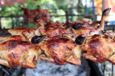 Markette ızgara tavuk.