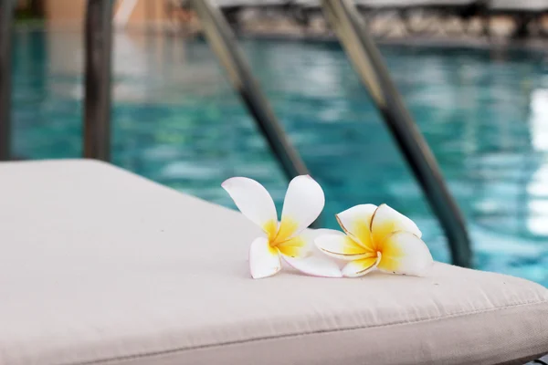 Plumeria flor e piscina azul ondulado detalhe da água — Fotografia de Stock