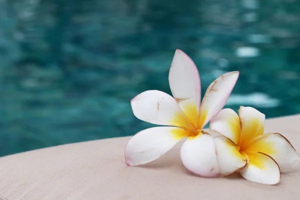 Plumeria bloem en blauw zwembad golfde water detail — Stockfoto