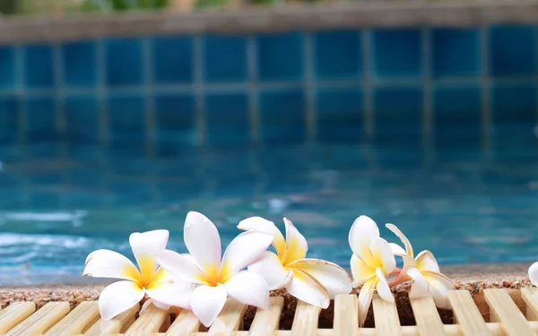 Plumeria flor e piscina azul ondulado detalhe da água — Fotografia de Stock