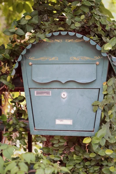 Caixa de correio e folhas verdes com a natureza — Fotografia de Stock