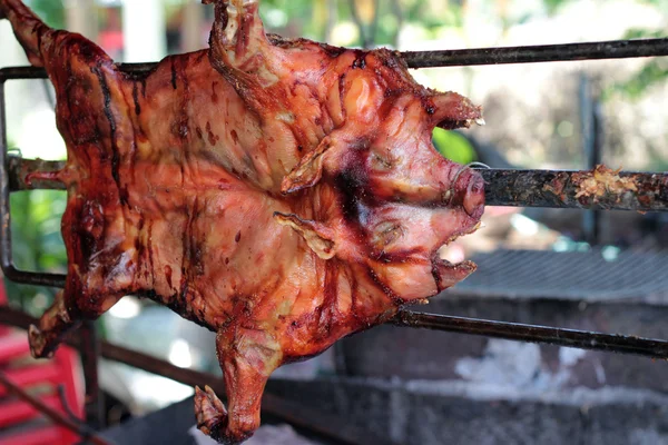 Barbecued suckling pig - roasted pig — Stock Photo, Image