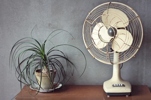 Vintage fans för att sätta showen. — Stockfoto