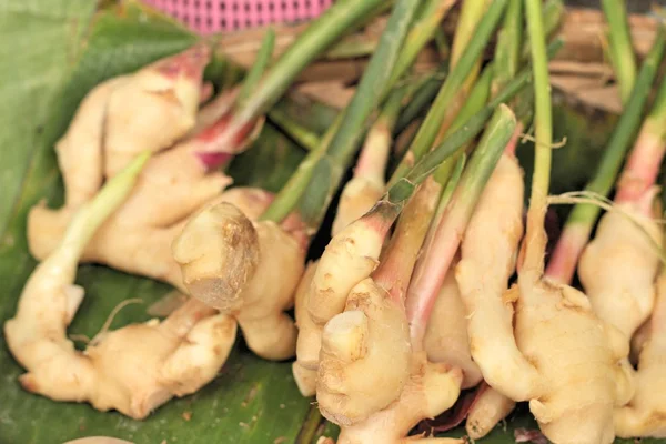 Racine de gingembre sur le marché — Photo