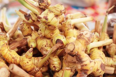 piyasada zencefil kökü