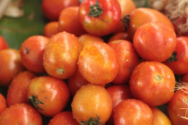 Fresh tomatoes in the market — Stock Photo, Image