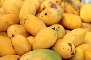 Markette olgun mango