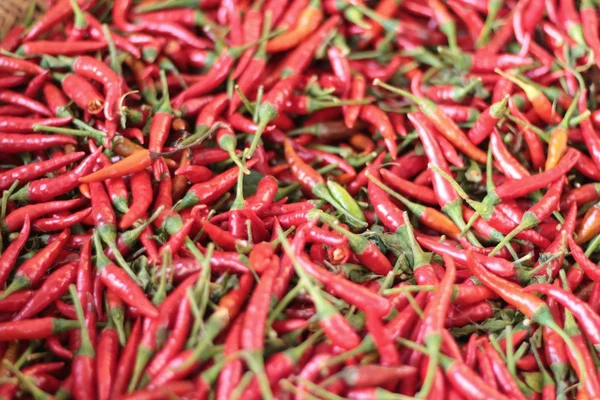 Fresh chili in the market — Stock Photo, Image