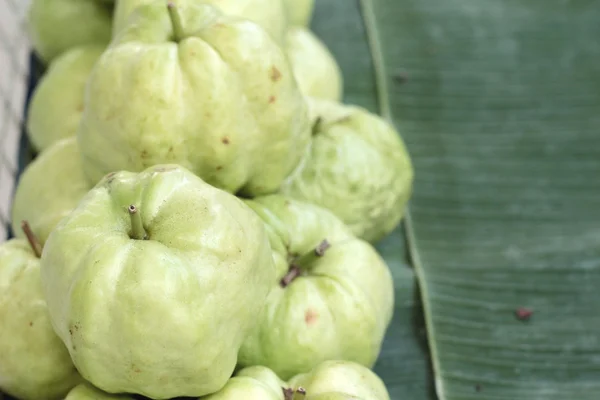 Guaven-Frucht auf dem Markt — Stockfoto