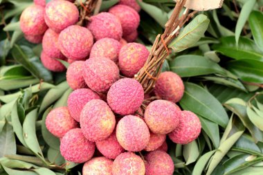 Olgun lychee piyasada