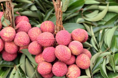 Olgun lychee piyasada