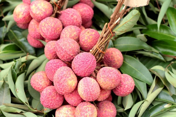 Ripe lychee in the market — Stock Photo, Image