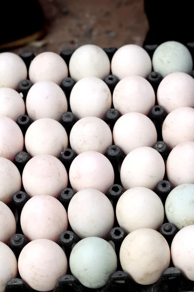 Huevos de pato en el panel —  Fotos de Stock