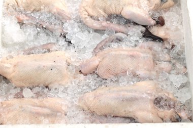 Buz üzerinde ham taze ördek