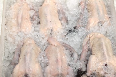 Buz üzerinde ham taze ördek