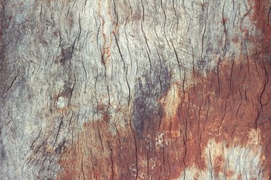 Ahşap doku. arkaplan eski panelleri