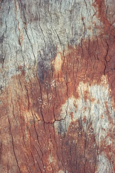 Textura de madera. paneles antiguos de fondo — Foto de Stock