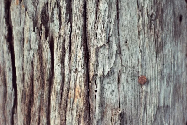 Wood texture. background old panels — Stock Photo, Image