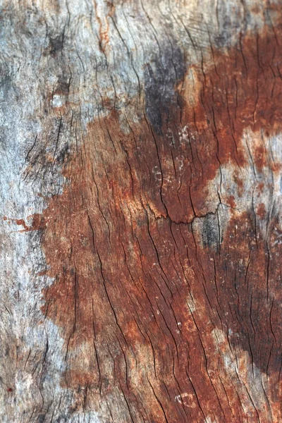 Hout textuur. achtergrond oude panelen — Stockfoto