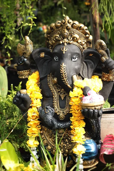 Ganesh standbeeld met de natuur — Stockfoto