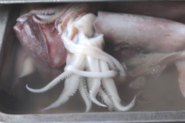 Piyasada taze mürekkep balığı