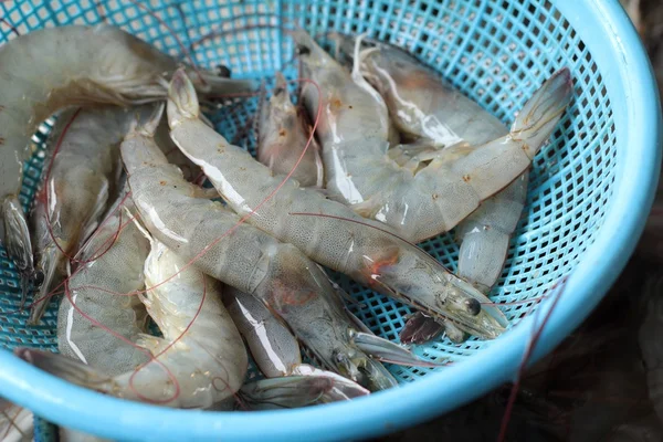 Fresh shrimp in the market — Stock Photo, Image