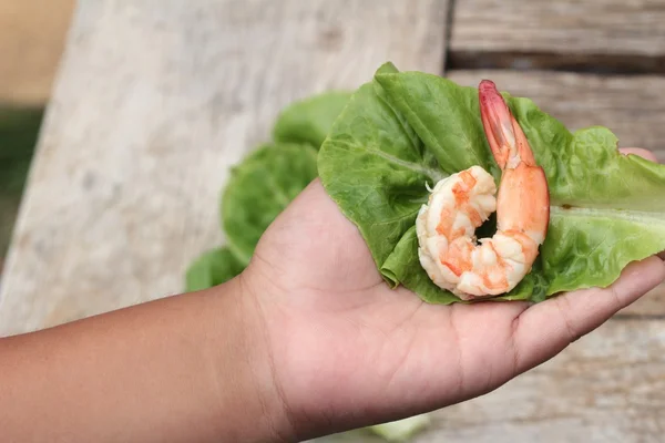 Udang dengan sayuran hijau daun di tangan — Stok Foto