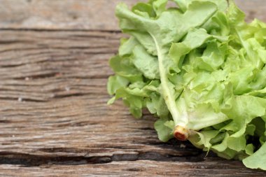 Çünkü marul, ahşap zemin üzerine yeşil