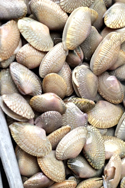 Markette taze deniz ürünleri — Stok fotoğraf