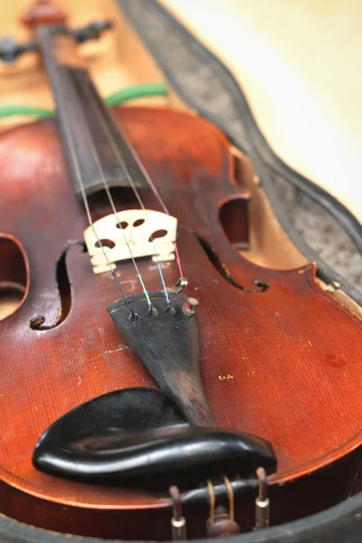 Violon en gros plan de style vintage — Photo