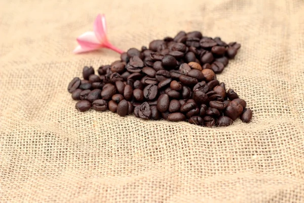 Beautiful heart of roasted coffee beans. — Stock Photo, Image