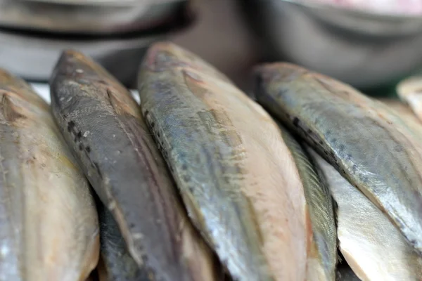 Frischer Fisch auf dem Markt — Stockfoto