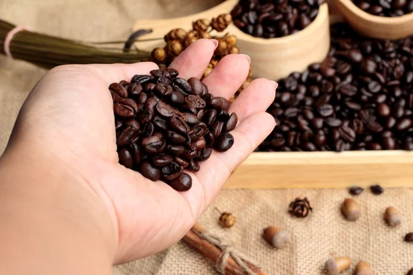 Rostade kaffebönor på säck brun bakgrund. — Stockfoto