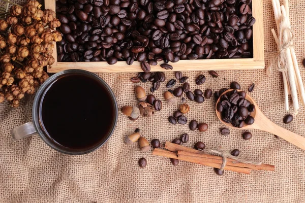 Pražená kávová zrna s horkou kávou — Stock fotografie